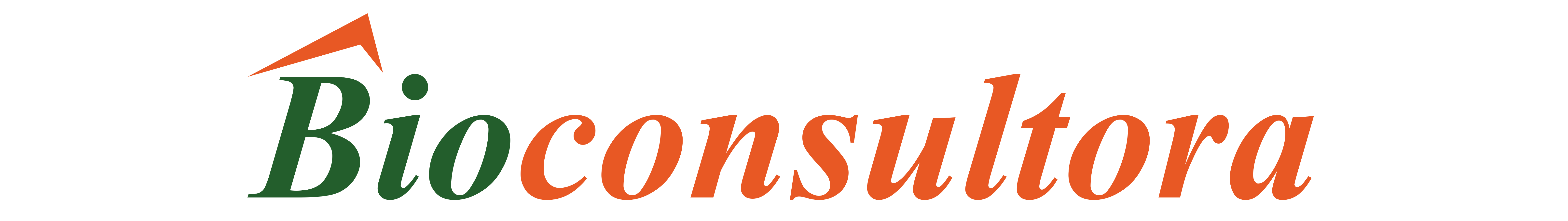 Bioconsultora logo
